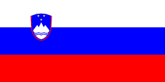 Flag of the country where Slovenian is most spoken