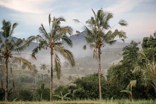 bali images